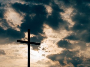 Website photo 14
